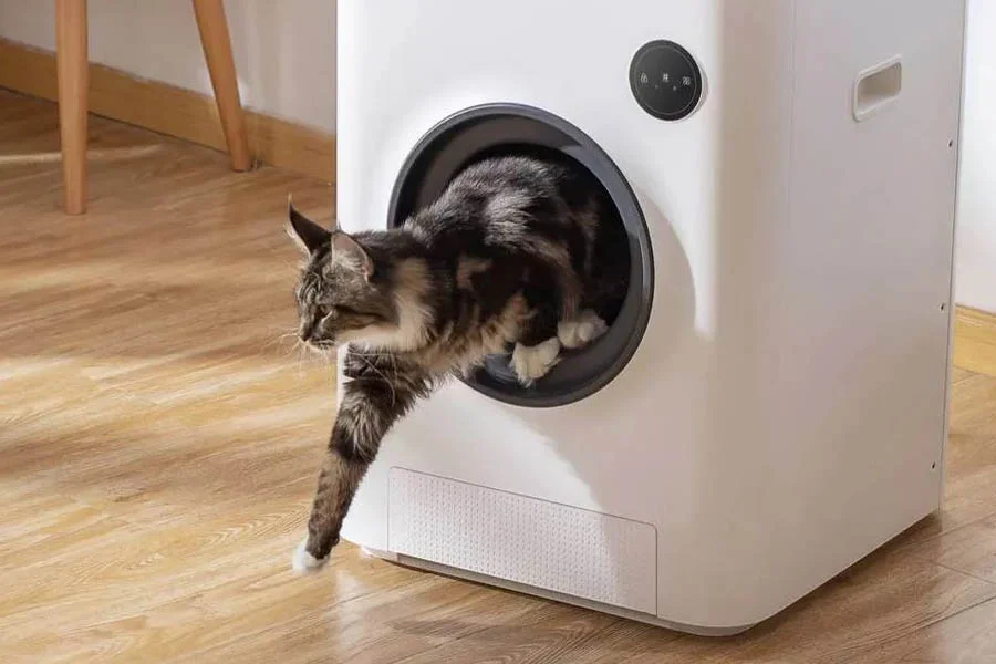 cat electric litter box